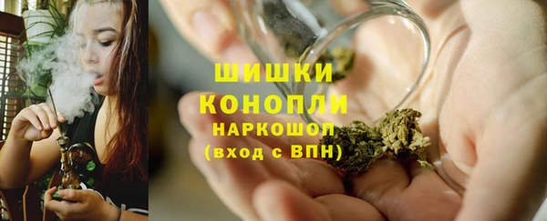 PSILOCYBIN Баксан