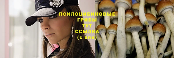 прущая мука Балахна