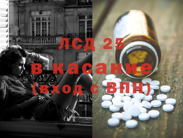 PSILOCYBIN Баксан