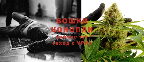 PSILOCYBIN Баксан