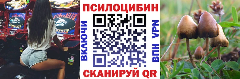 Галлюциногенные грибы MAGIC MUSHROOMS  Лебедянь 